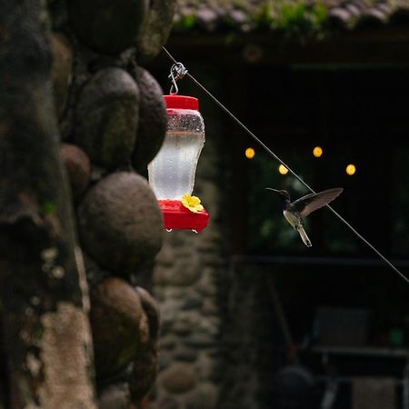 Pura Vista Glamping Hotel El Castillo Buitenkant foto