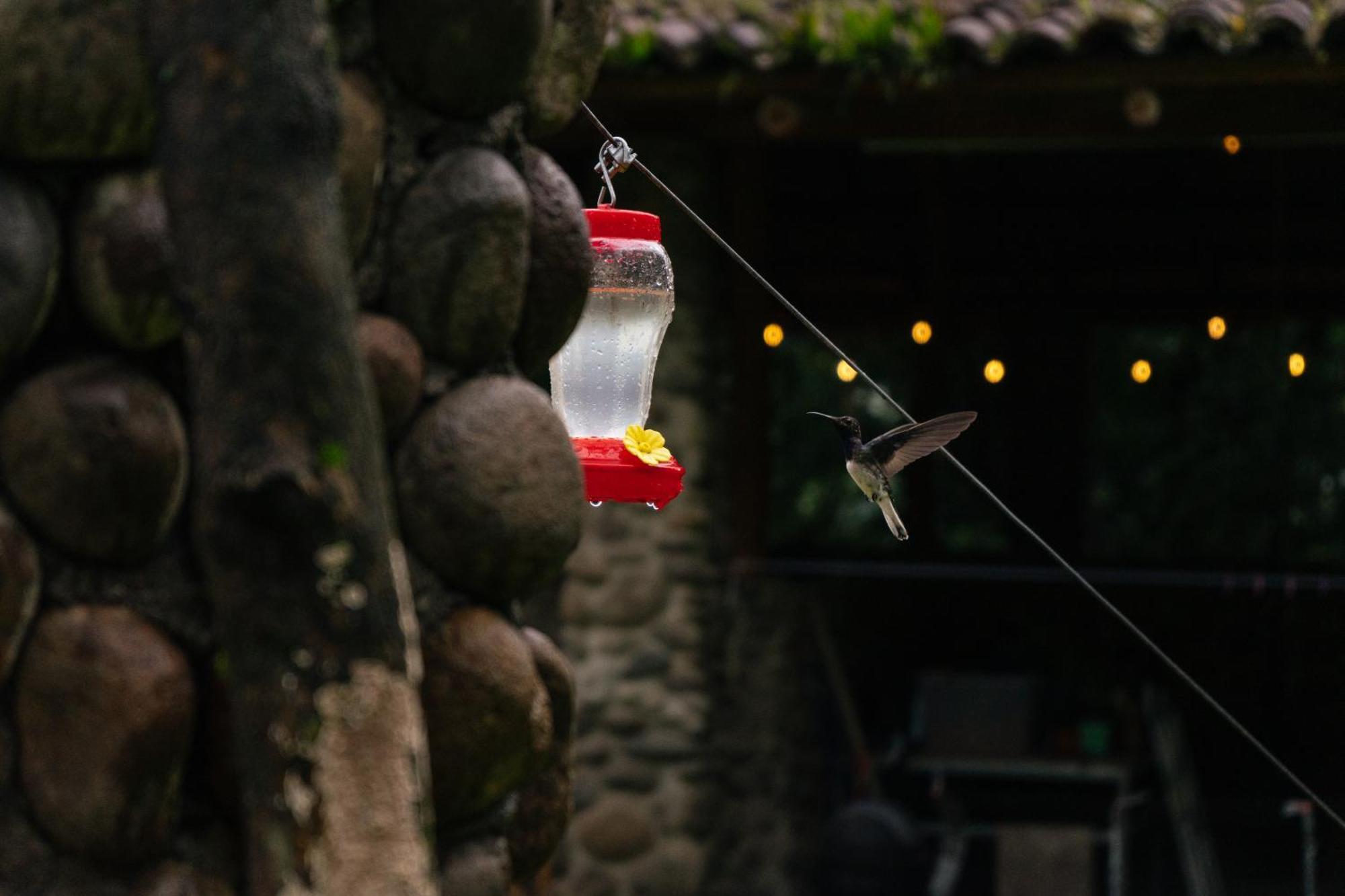 Pura Vista Glamping Hotel El Castillo Buitenkant foto