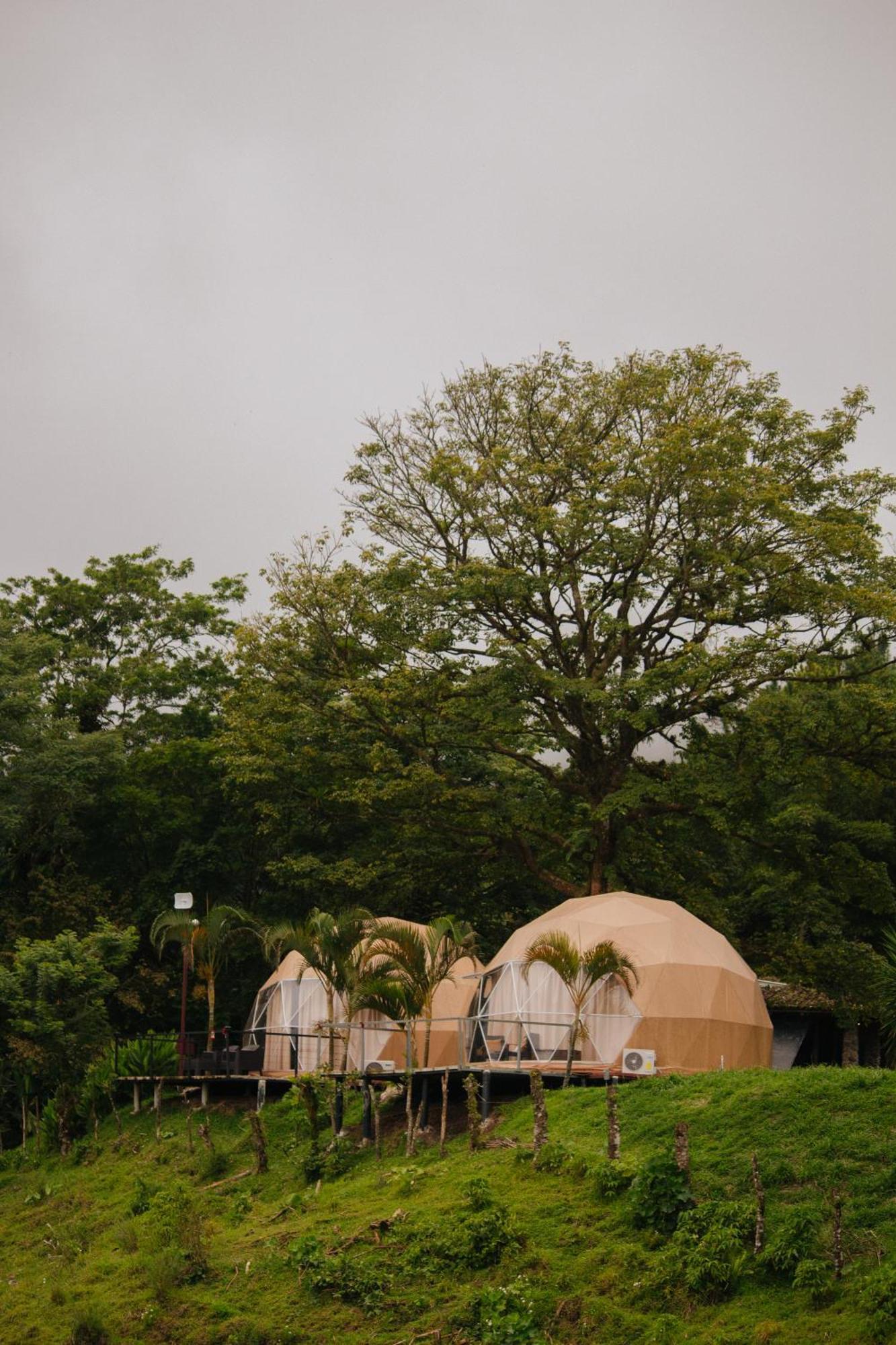 Pura Vista Glamping Hotel El Castillo Buitenkant foto
